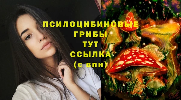 мяу мяу мука Алексин